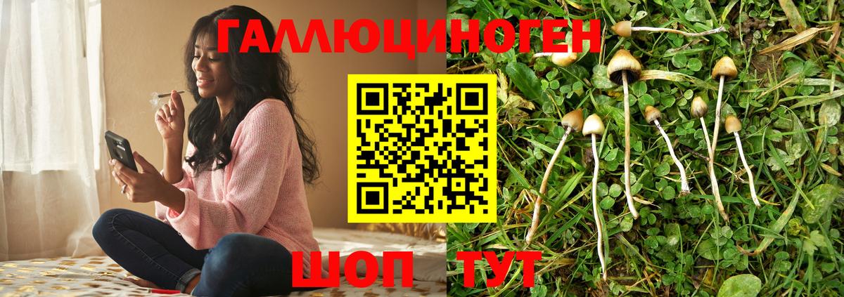 Галлюциногенные грибы MAGIC MUSHROOMS Майкоп