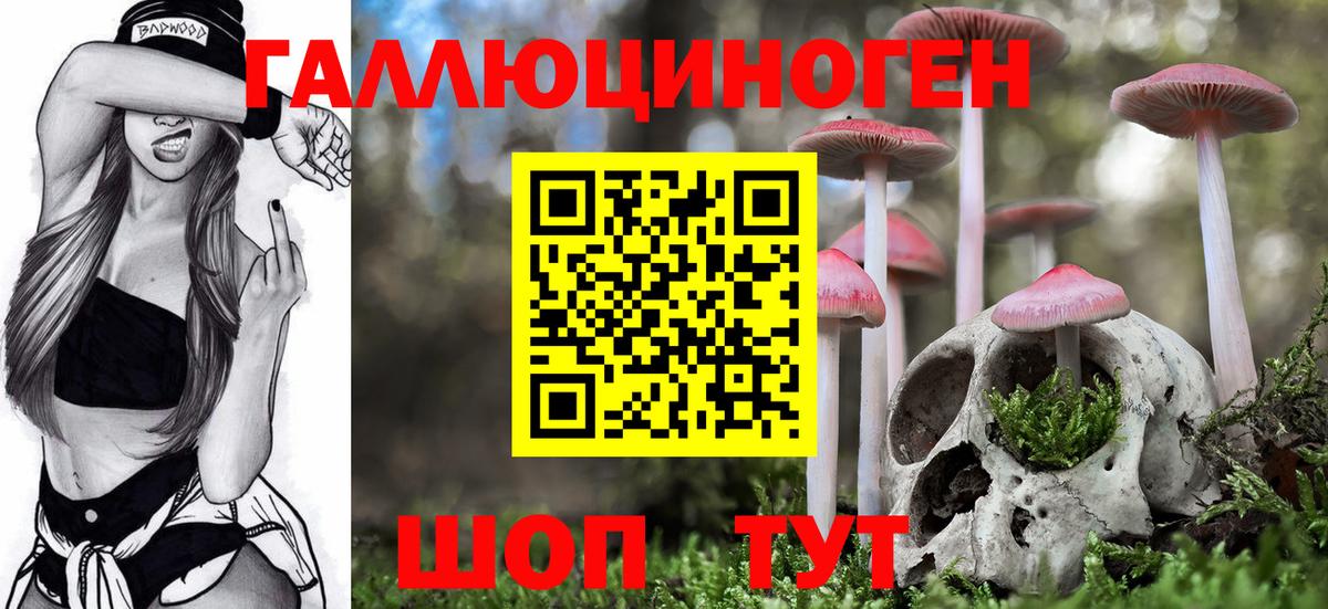 закладка  Псилоцибиновые грибы мухоморы  Псилоцибиновые грибы прущие грибы  Вход с VPN  Майкоп 